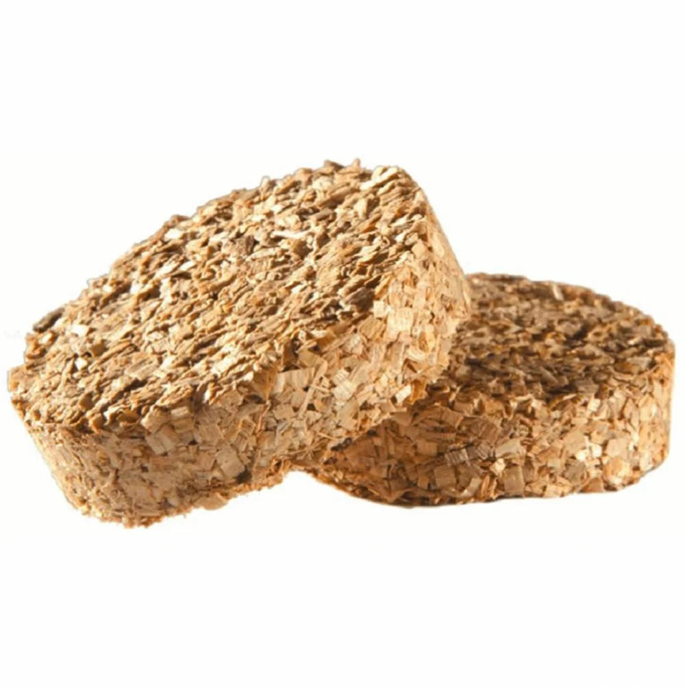 Maple Bisquettes 24 Pack P2756