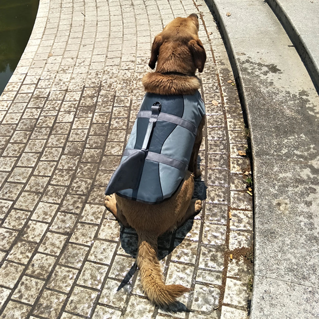 Dog Pet Shark Swimsuit Vest Safety Wear Preserver H993105