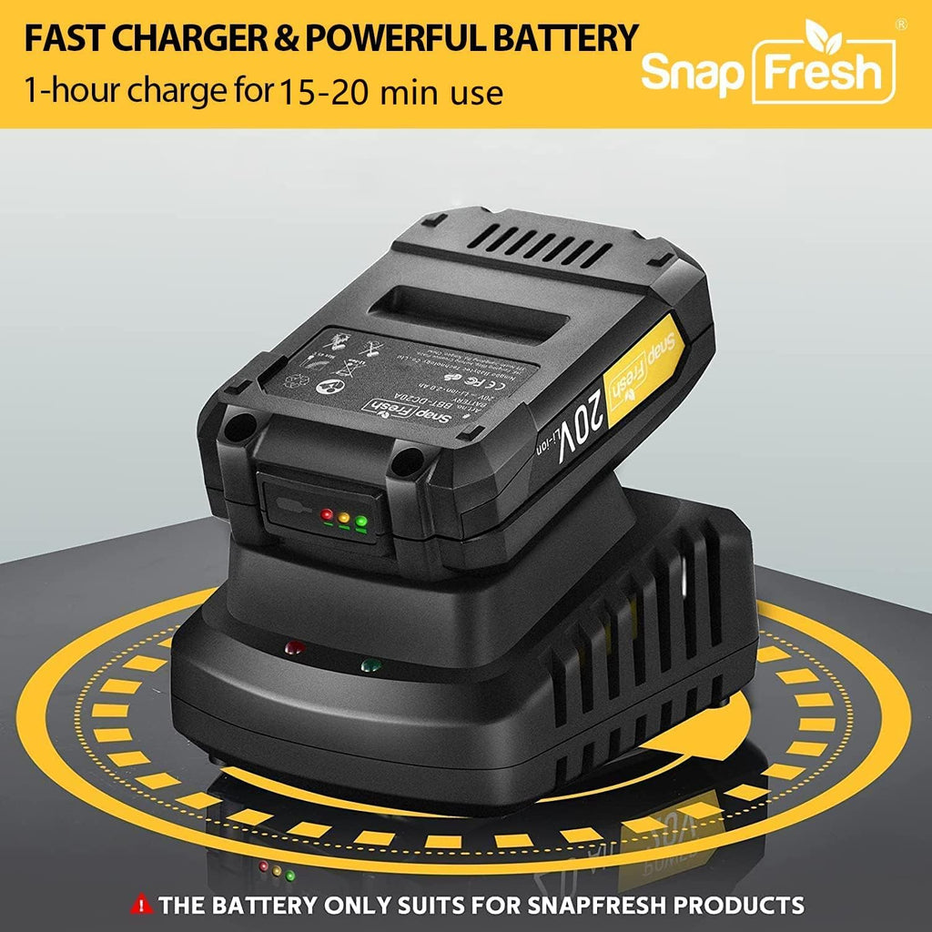 20V Cordless Electric Leaf Blower with Battery & Charger P23683