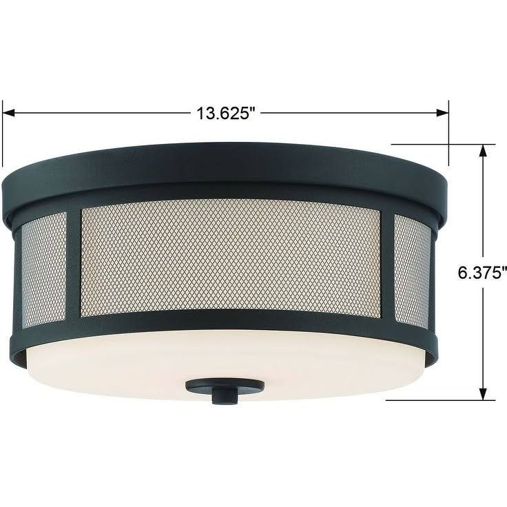 Vibrant Gold 2 Light Ceiling Mount H864
