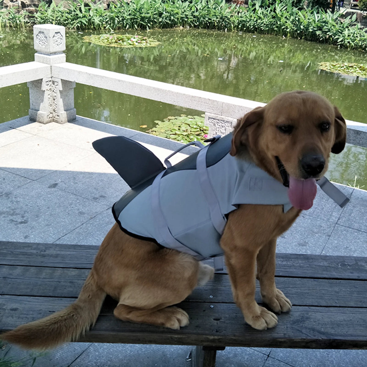 Dog Pet Shark Swimsuit Vest Safety Wear Preserver H993105