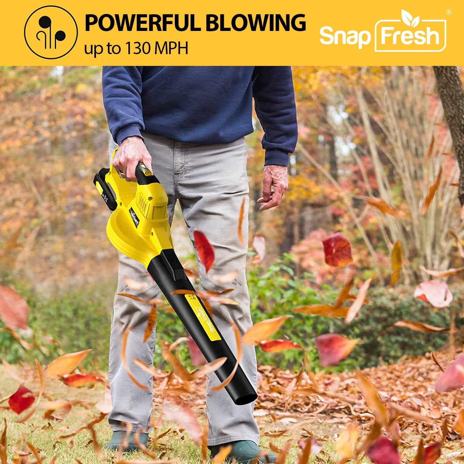 20V Cordless Electric Leaf Blower with Battery & Charger P23683