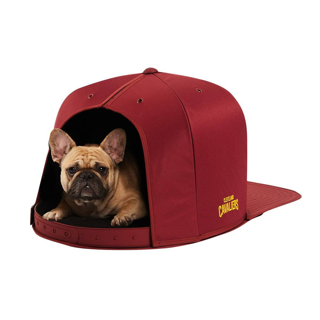 Large Pet Bed C46380