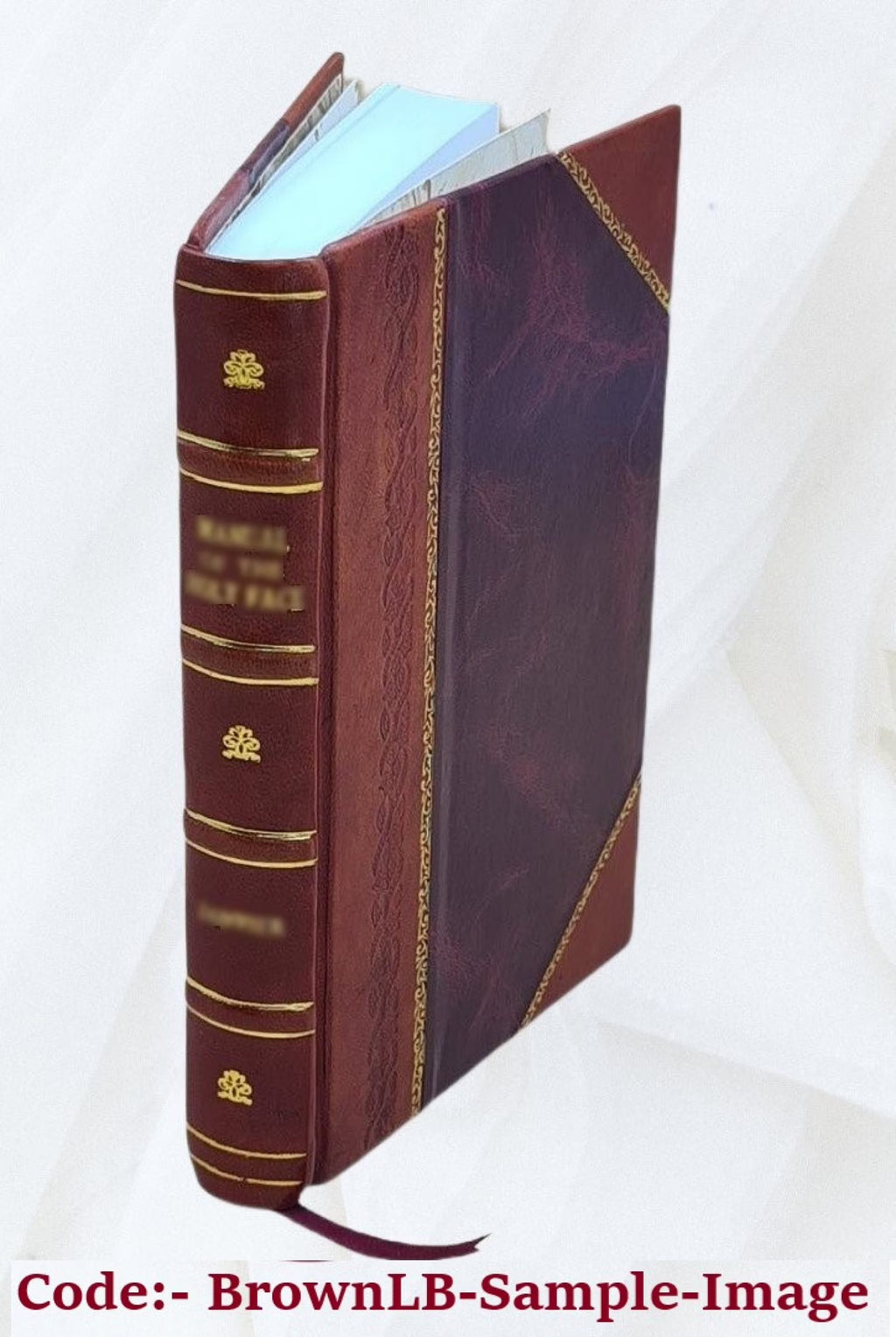 Leather Bound Book E146404