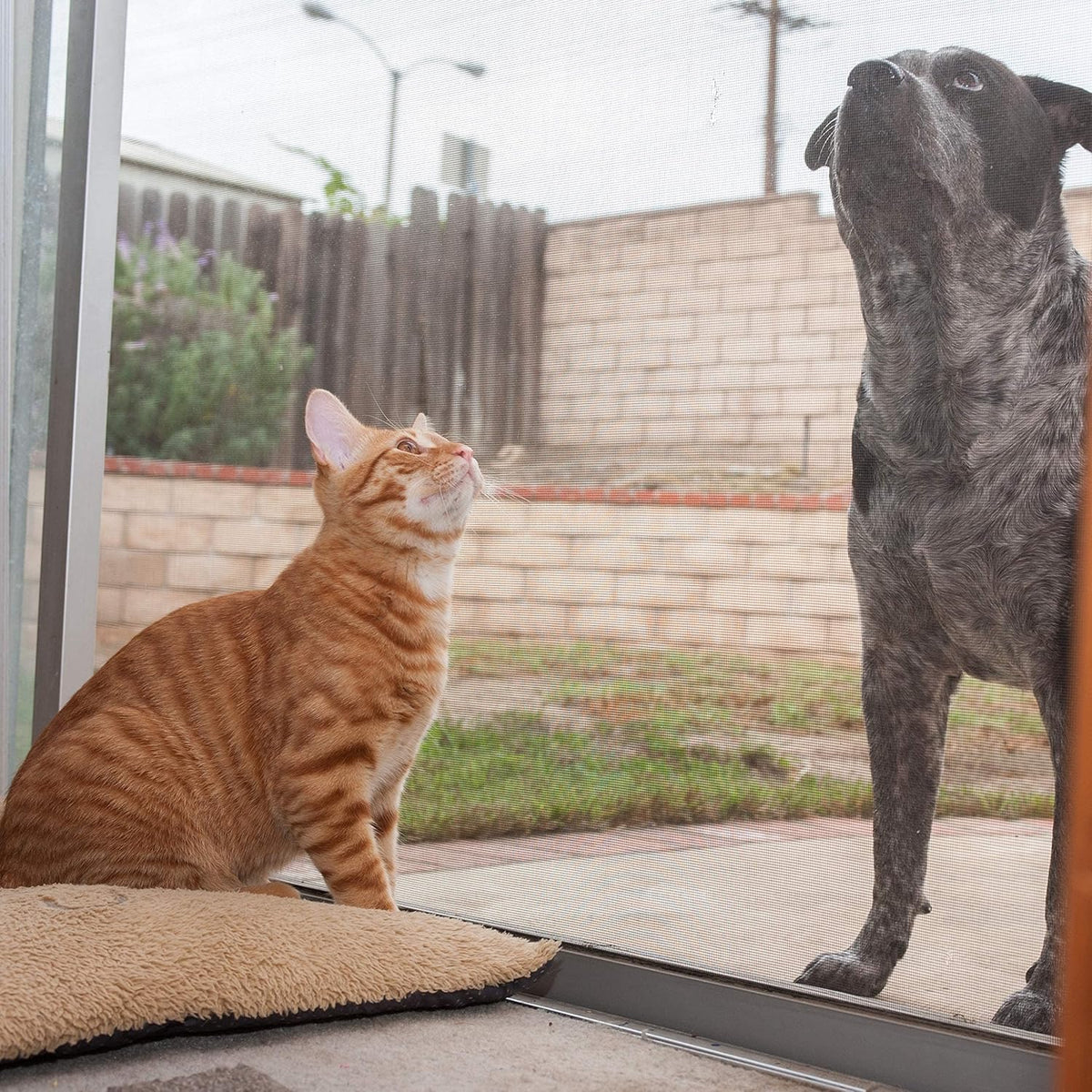 Pet Proof Screen 36" x 50" D952
