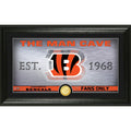 Cincinnati Bengals Photo B476733