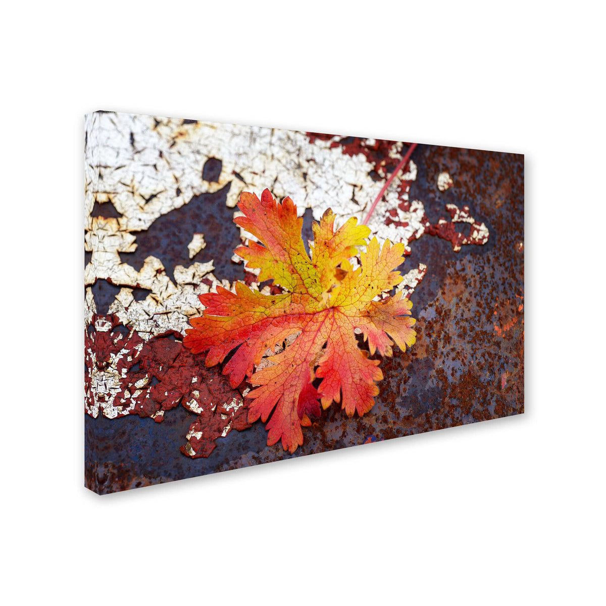 Autumn Rust Canvas Art K6777