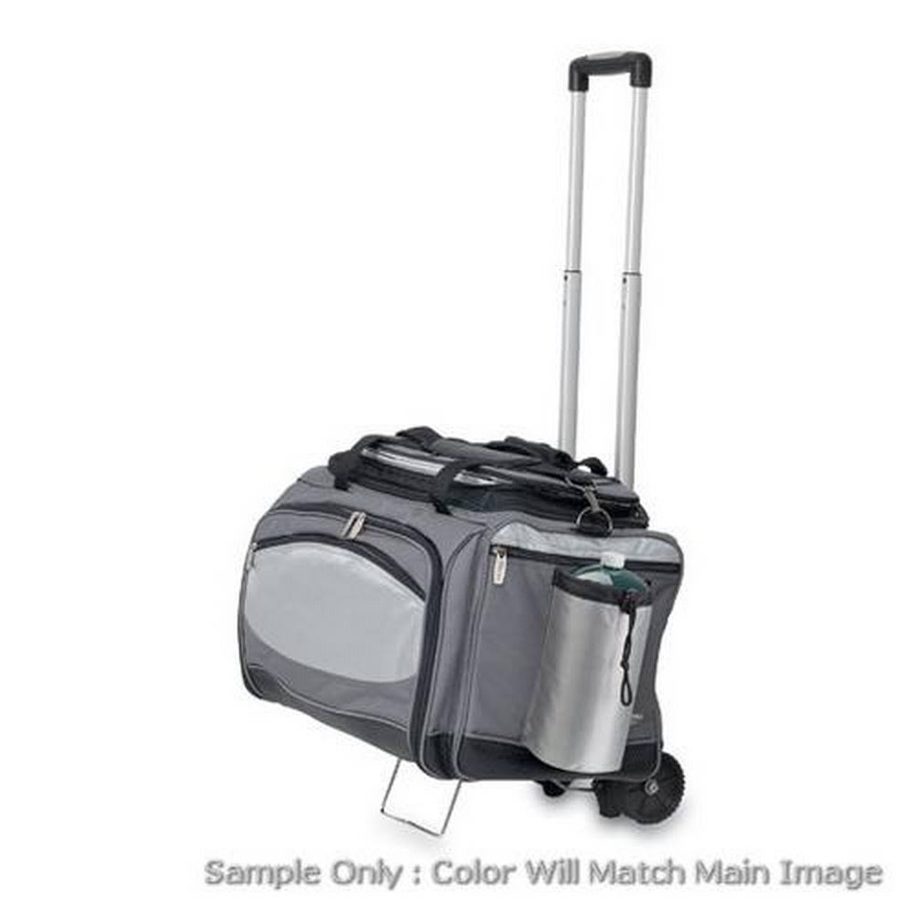 Cooler and Propane Gas Grill X95562
