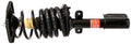 Rear Driver Left Strut and Coil Spring E6077