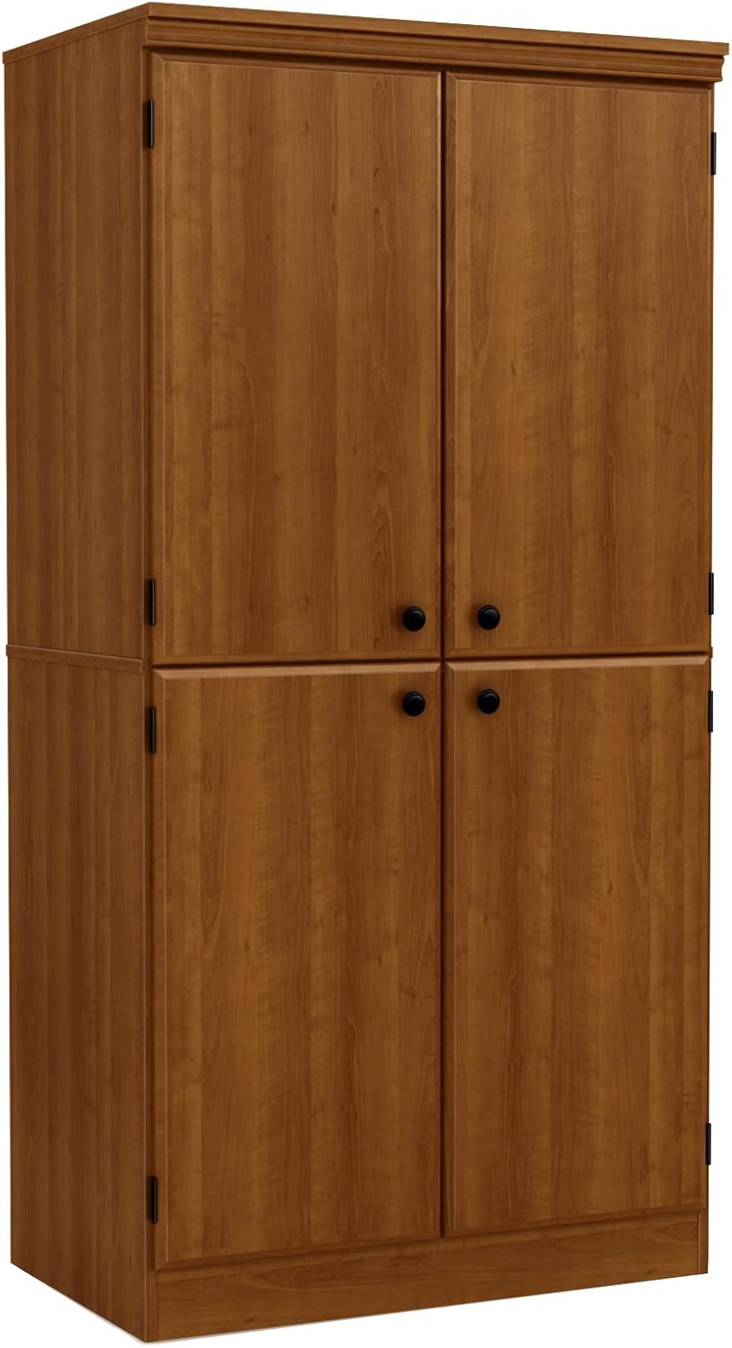 Pure Black 4-Door Storage Cabinet with Adjustable Shelves J40935