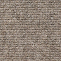Brown 6 Feet x 25 Feet Indoor Outdoor Carpet with Rubber Backing C188180