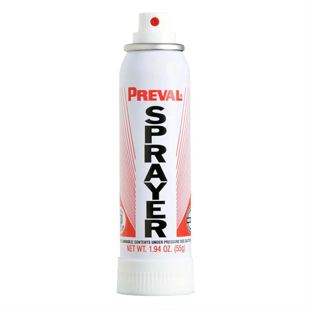Touch Up Basecoat Spray Paint Compatible with Ford Taurus B5615