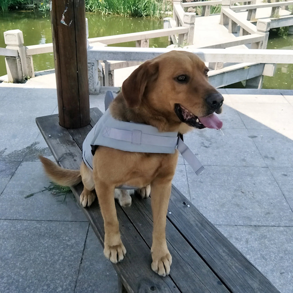 Dog Pet Shark Swimsuit Vest Safety Wear Preserver H993105