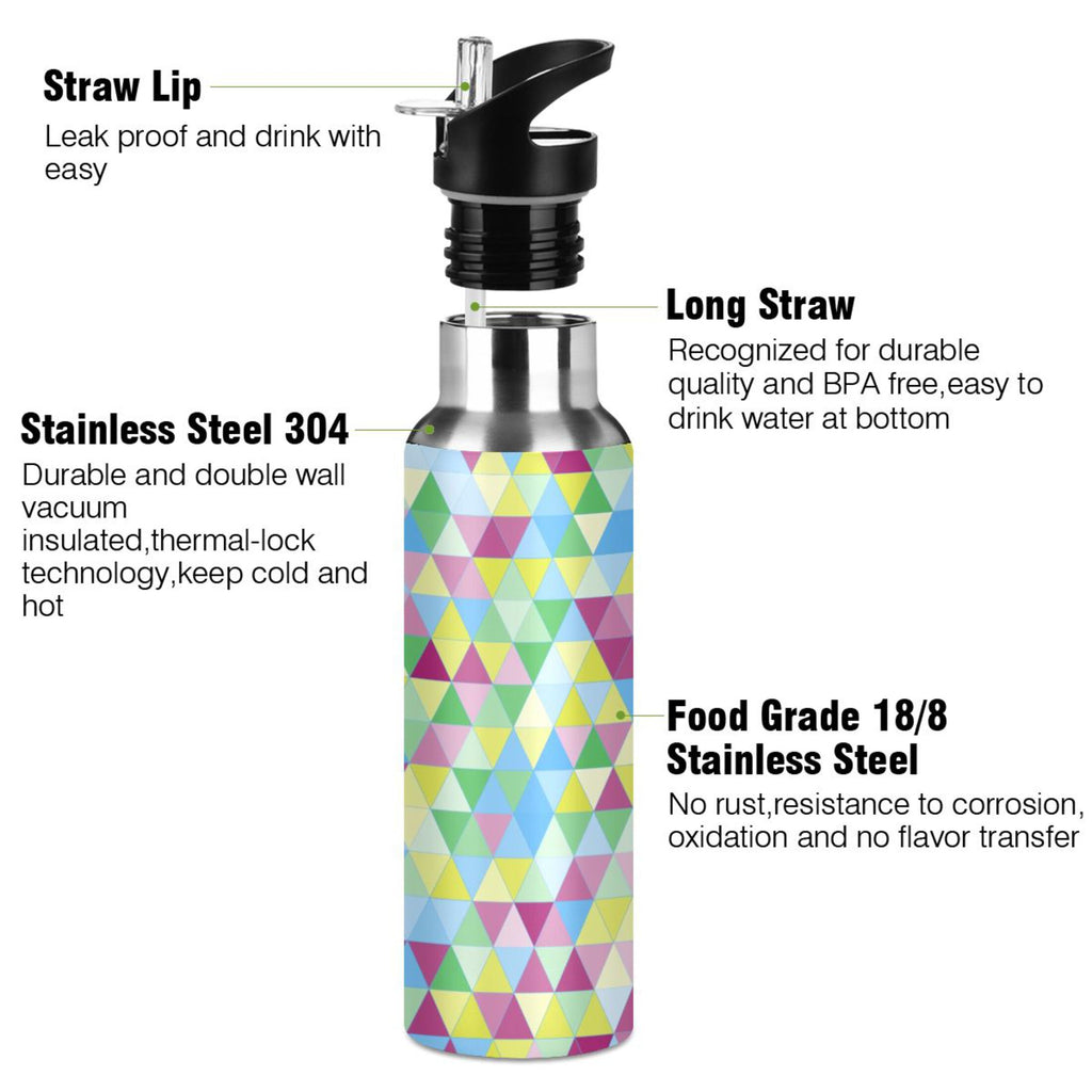 20 oz Insulated Stainless Steel Water Bottle with Straw Lid G48811