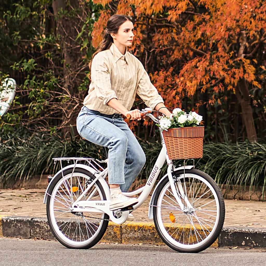 24 Inch Women's Comfort Bike with Basket Step Through Bike M8816