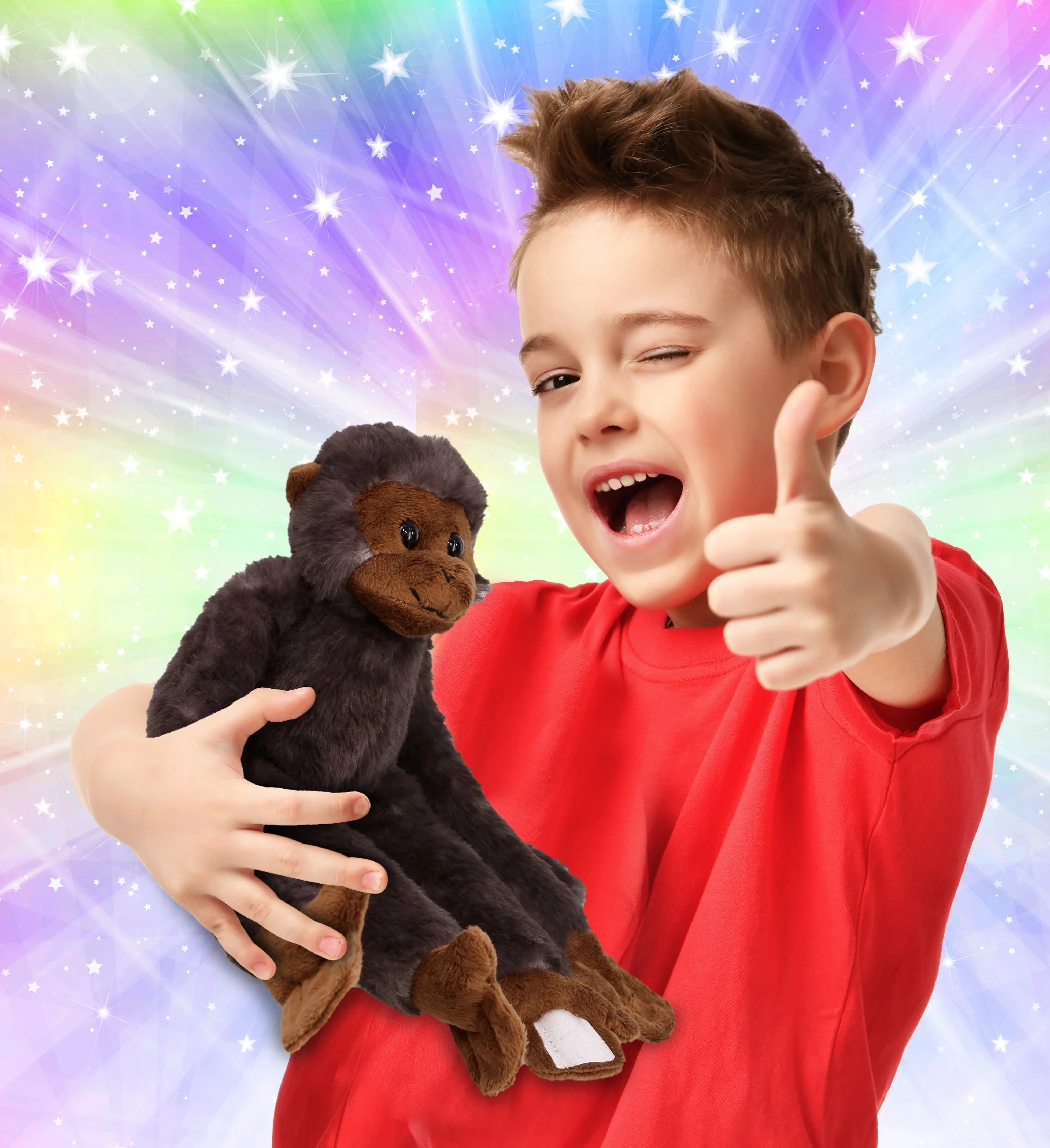 21 Inch Black Stuffed Plush Monkey Toy R982315