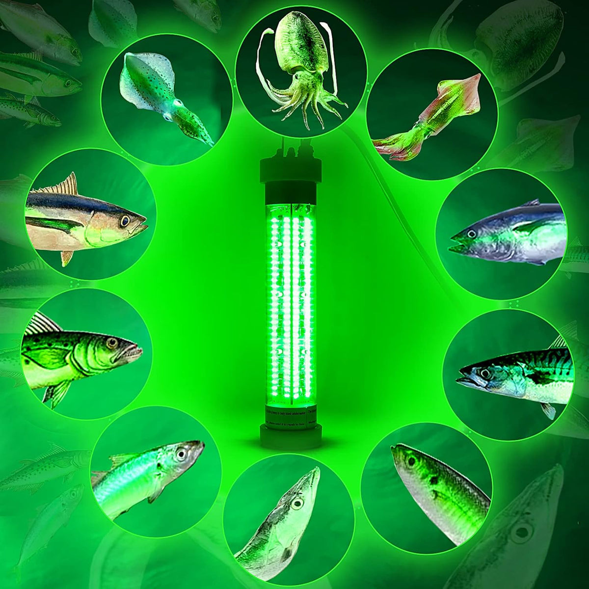 Underwater Fishing Light, DC12V/24V 300W, with Remote Brightness Adjustment C7774