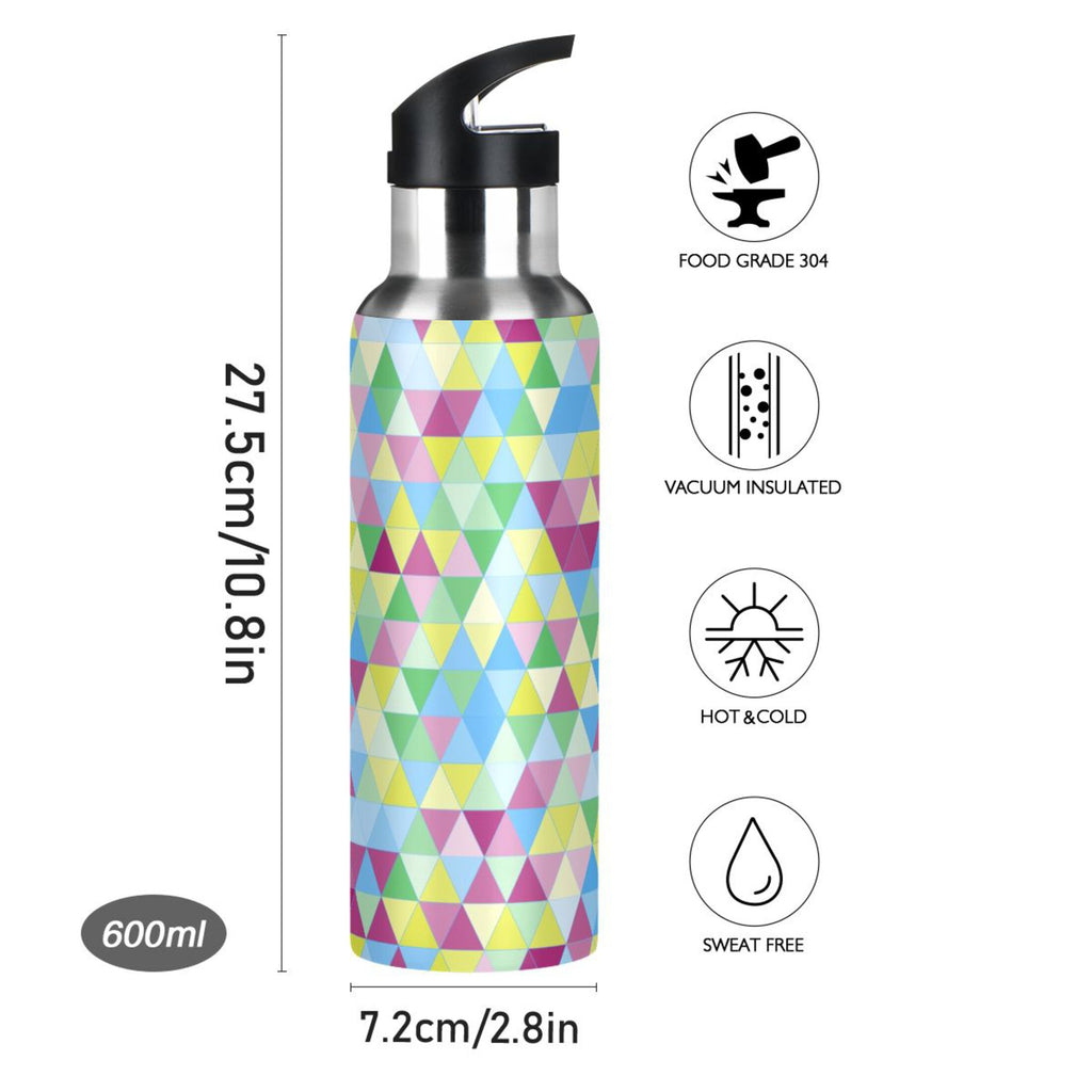 20 oz Insulated Stainless Steel Water Bottle with Straw Lid G48811