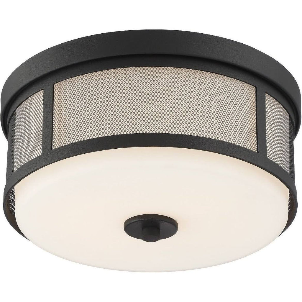 Vibrant Gold 2 Light Ceiling Mount H864
