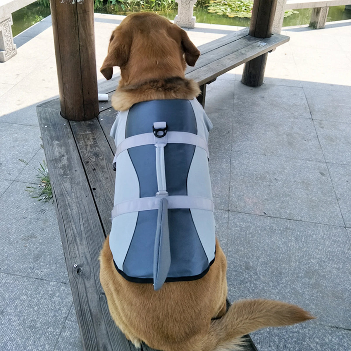 Dog Pet Shark Swimsuit Vest Safety Wear Preserver H993105