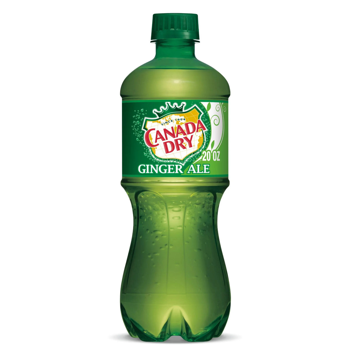 Ginger Ale Soda 20oz Bottles, Quantity of 12 H357