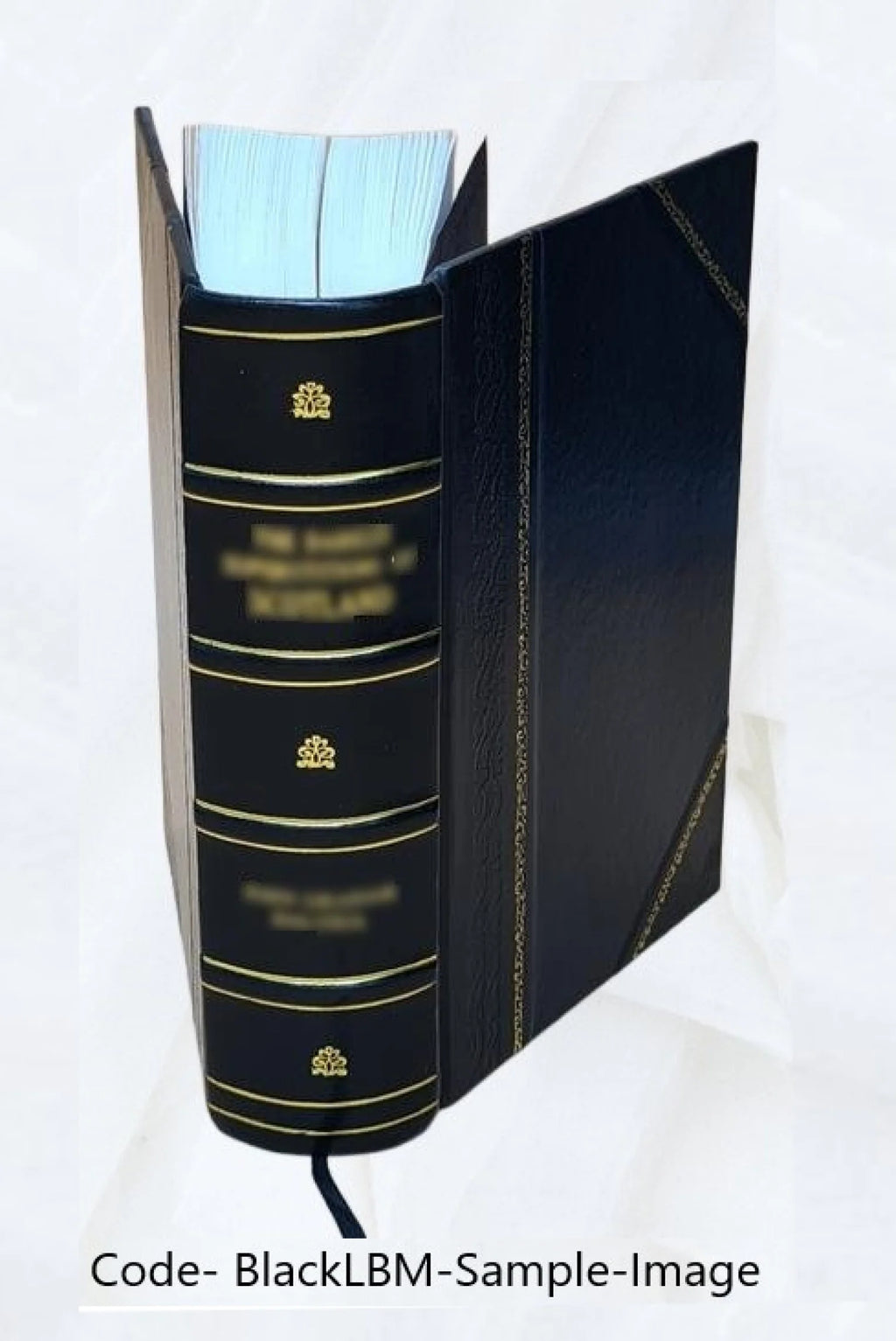 De jure naturæ et gentium, libri octo R61194