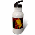 21 oz Sports Water Bottle Q8796