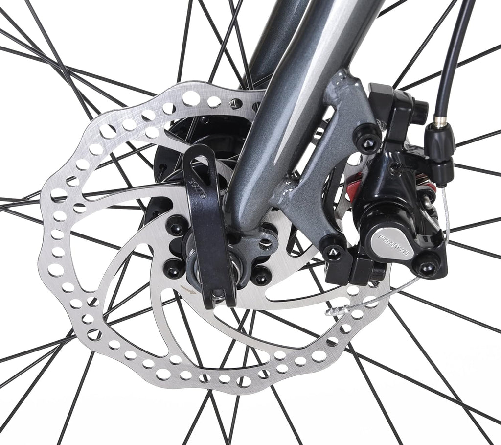 Gravel Bike with Disc Brakes, 14 Speeds, Drop Bars Z998
