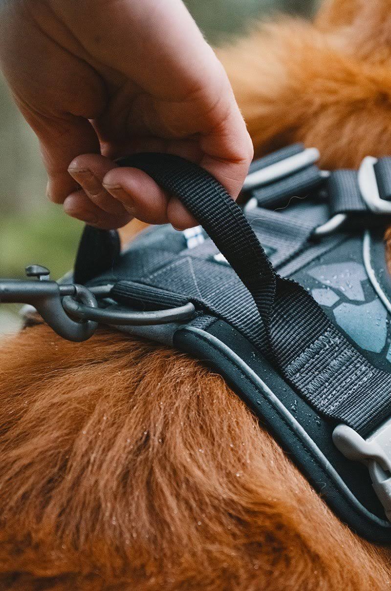 Weekend Warrior Harness Park Camo 32-39in A89788