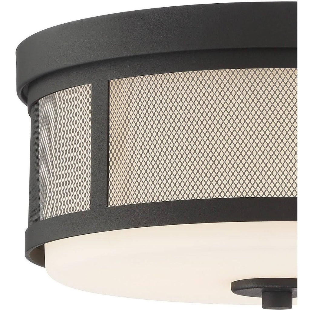 Vibrant Gold 2 Light Ceiling Mount H864