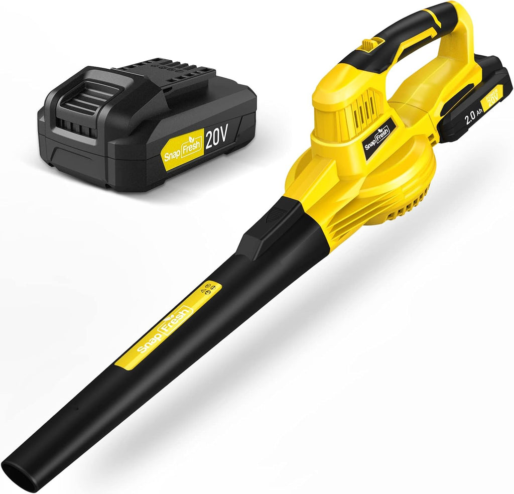 20V Cordless Electric Leaf Blower with Battery & Charger P23683