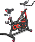 Exercise Bike Indoor Cycling Stationary Bike W41459
