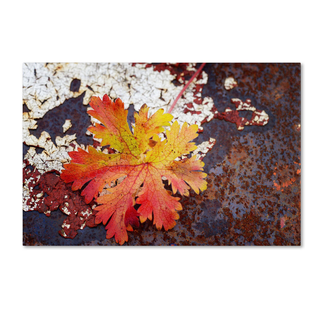 Autumn Rust Canvas Art K6777