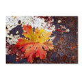 Autumn Rust Canvas Art K6777