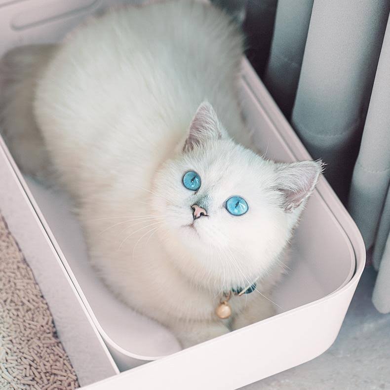 Cloud White Enclosed Cat Litter Box X55193