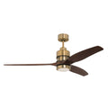 52x22 Ceiling Fan Kit with Blades M5161