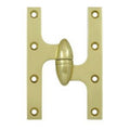 Polished Brass Knuckle Hinge L2614